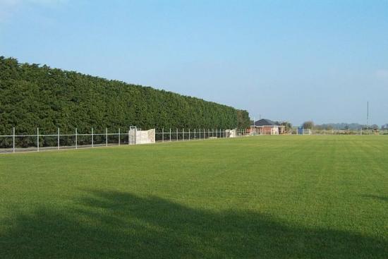 View of the pitch and dugouts, taken from R. Blackwater end.