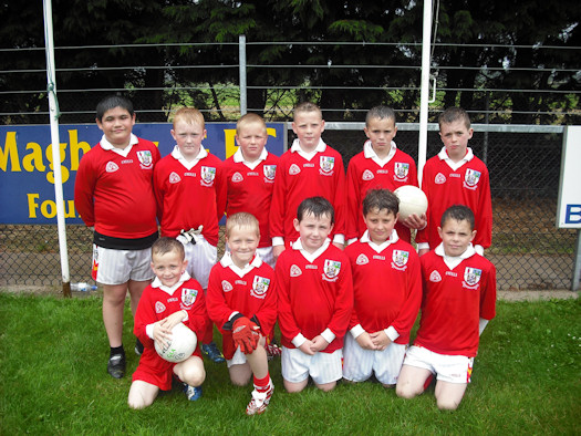 The Brackaville team that took part in the annual Larrybo Cusack Tournament
